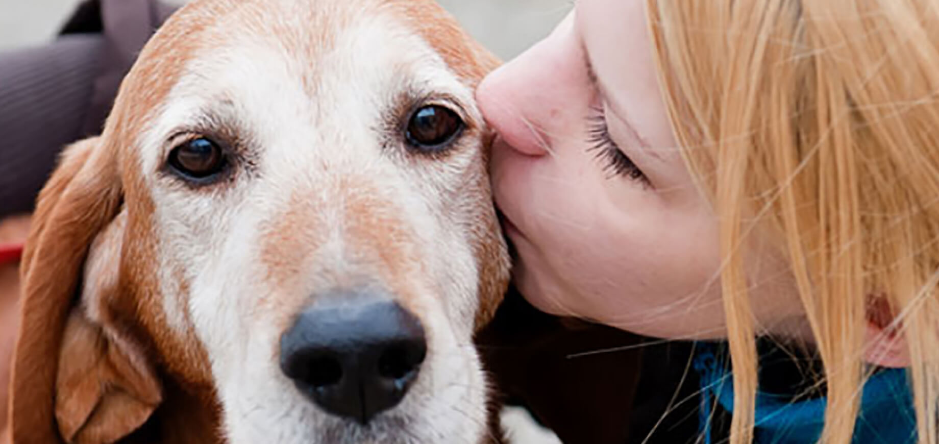 ¿Cómo ser un dueño responsable?