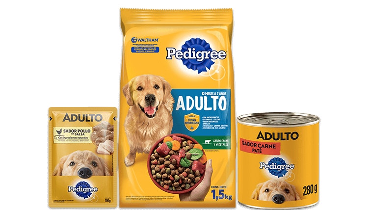 landing-hero-adult-default