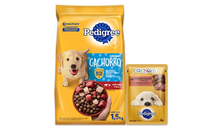 landing-hero-puppy-default