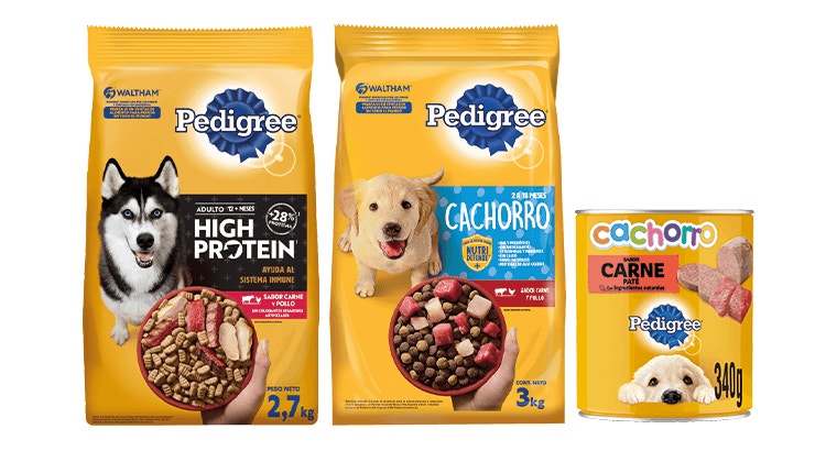 landing-hero-razas-de-todos-los-tamanos